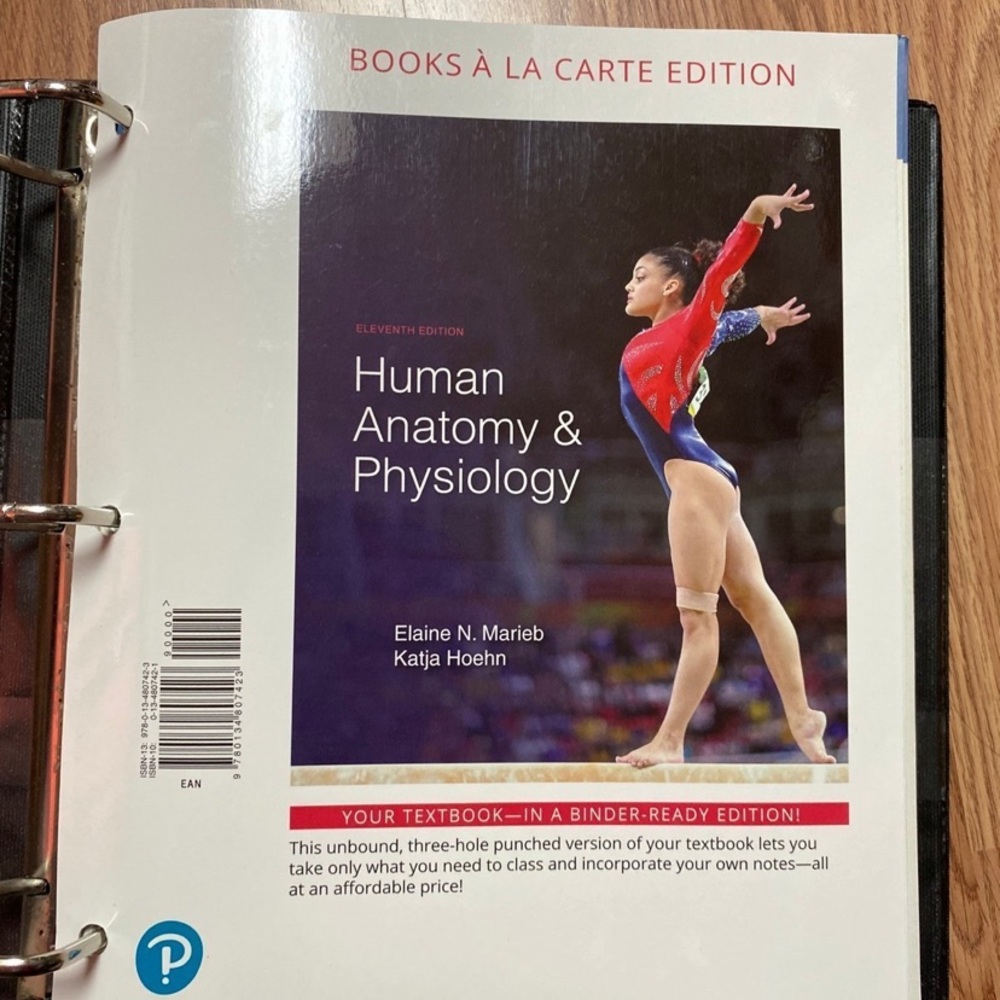 Human Anatomy & Physiology Textbook